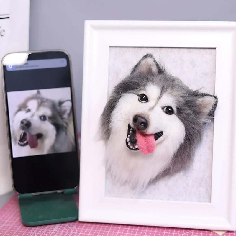 Custom Wool Felt Pet Portrait Frame