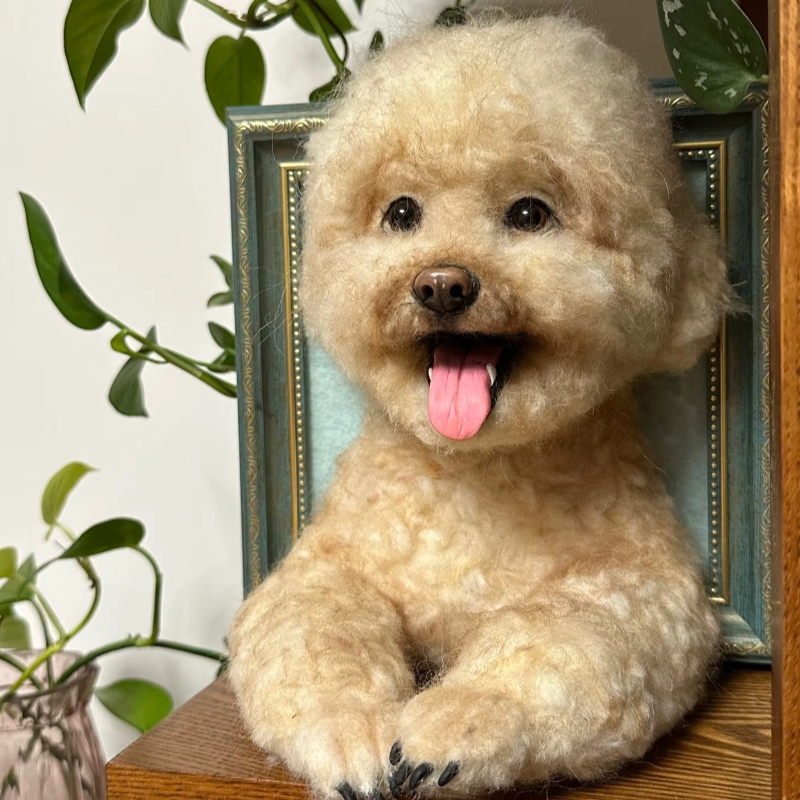 Custom Wool Felt Pet Portrait Frame